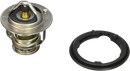 19301-PAA-306 Thermostat Affirma Distributors