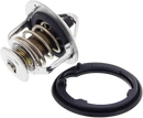 19301-PAA-306 Thermostat