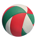 DynamicPlay Volleyball Premium Quality for Active Fun