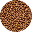 Hikari 12-Ounce Sinking Cichlid Gold Pellets for Pets Mini 