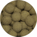 Hikari Usa Inc AHK21328 tropical Algae Wafer 8.8-Ounce