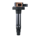 Coil Asy IGN (P) DG549 Affirma Distributors